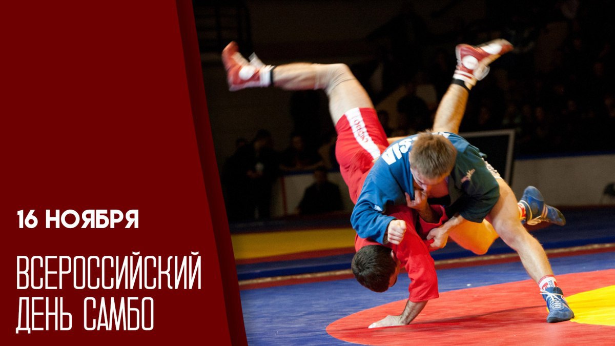 16 ноября Всероссийский День Самбо. Источник ГТРК «Самара» tvsamara.ru